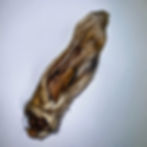 Hairy goat ear