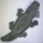 Colin the Crocodile, Eco Toy
