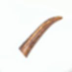  Antlers Medium 71 to 100g