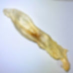 puffed rabbit ear
