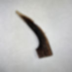 Antlers Large 101 to 150g
