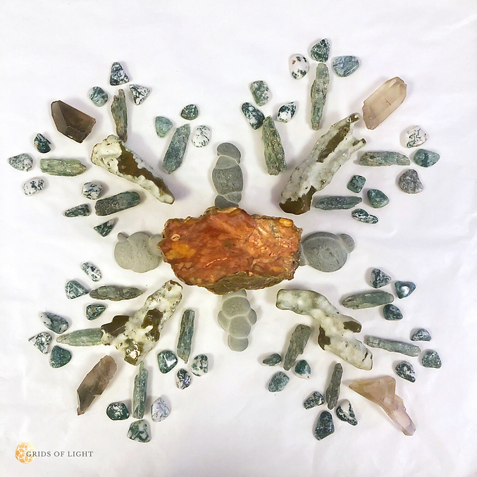 Tree of Life (2).png