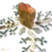 Tree of Life (4).png