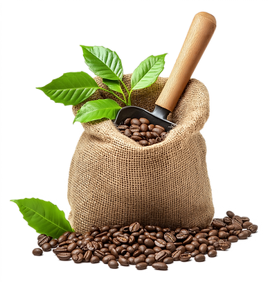 Cafe-saco.png