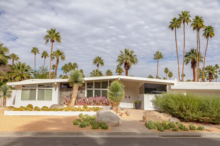 Palm-Springs-Fine-Art-Print-Rajveer-Johal-1.jpg