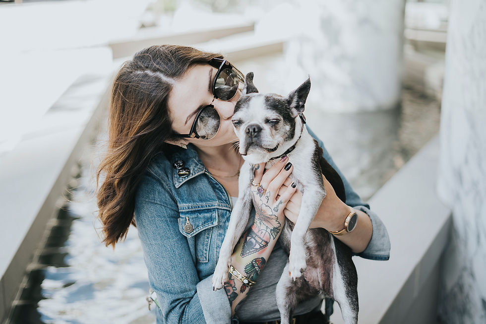 Caring for senior dogs