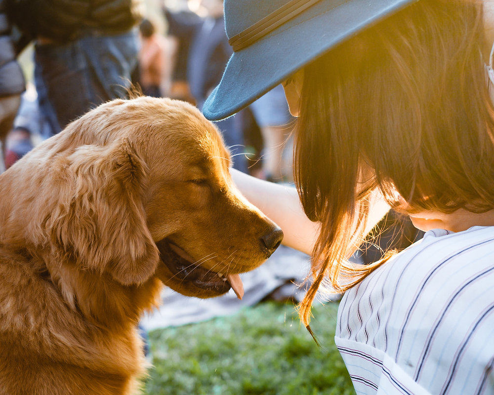 Dog Friendly Events Happening In Canada This May Dog Friendly Events Happening In Canada This May