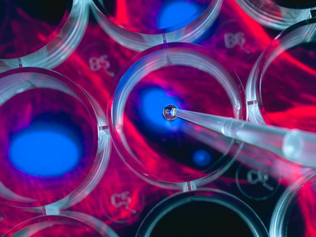 儿童横纹肌肉瘤中的癌症干细胞标志物