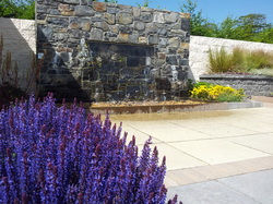 LAVENDERS