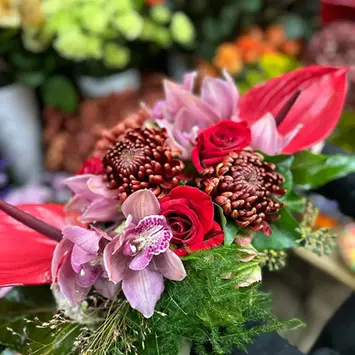 Gros plan d'un bouquet de fleurs composé d'anthuriums rouges vifs, roses rouges, chrysanthèmes bordeaux et orchidées roses avec des feuillages verts.