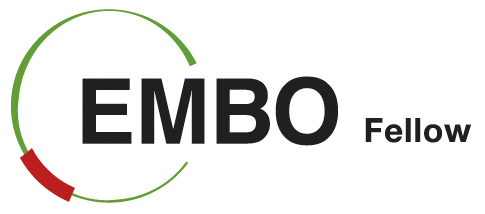 embo_fellow_logo.gif