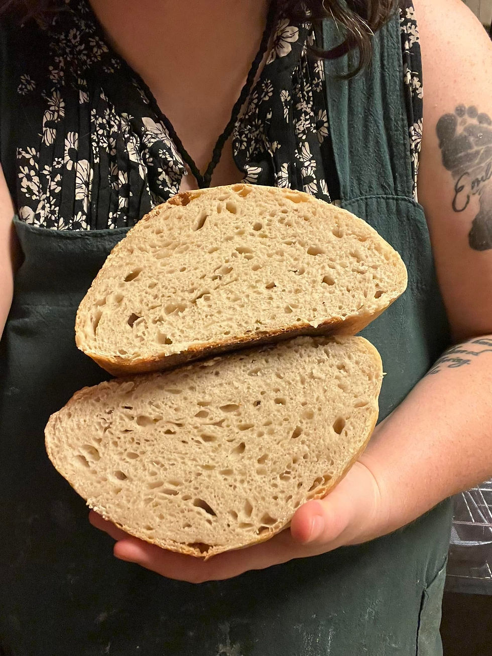 Sour Dough 101