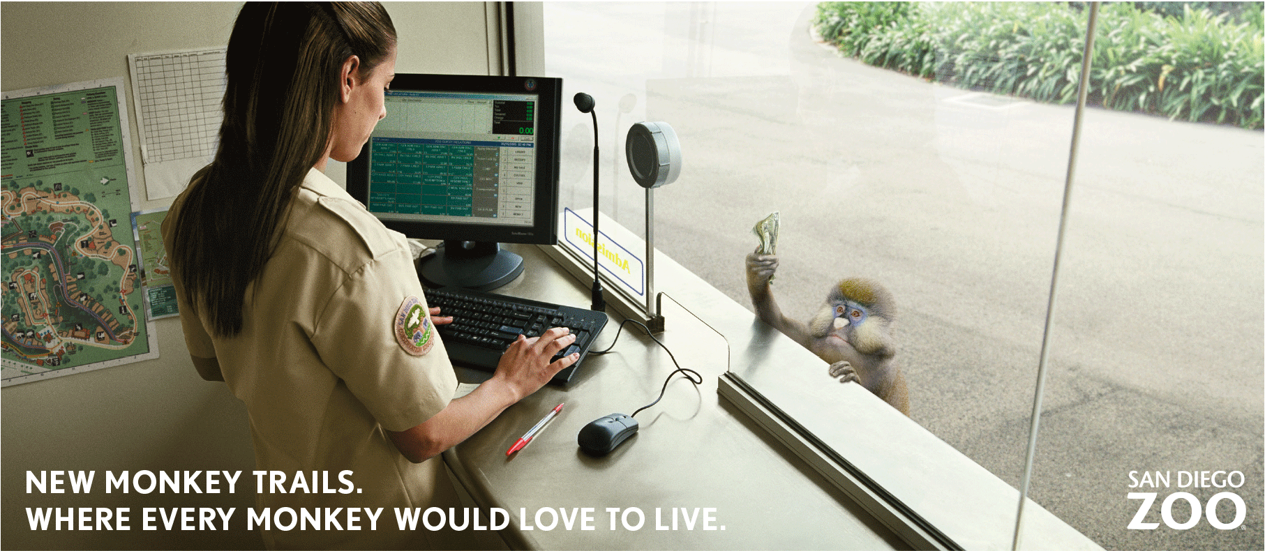 Zoo-Monkey-Billboard2.gif