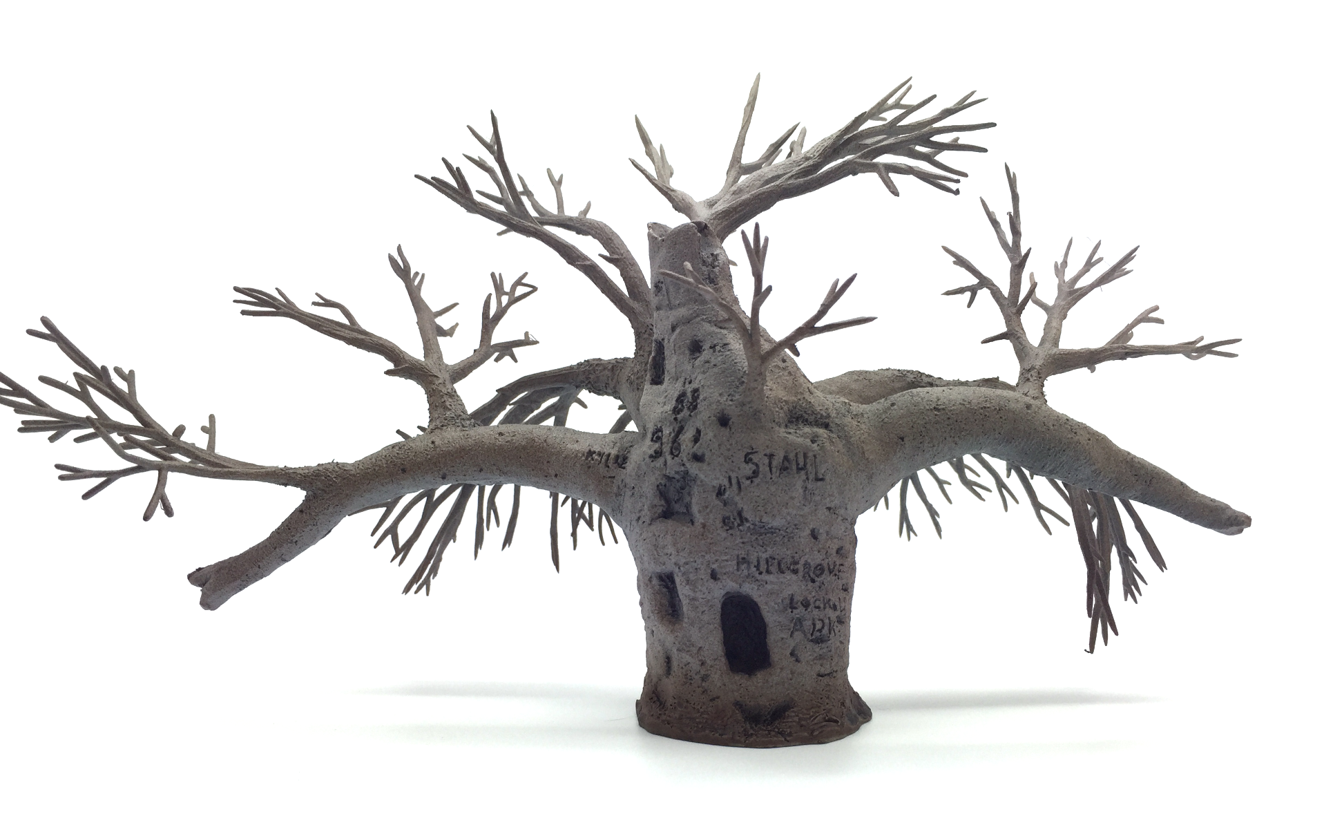 AG30DN - Wyndham Prison Boab - Dry Season No Stand