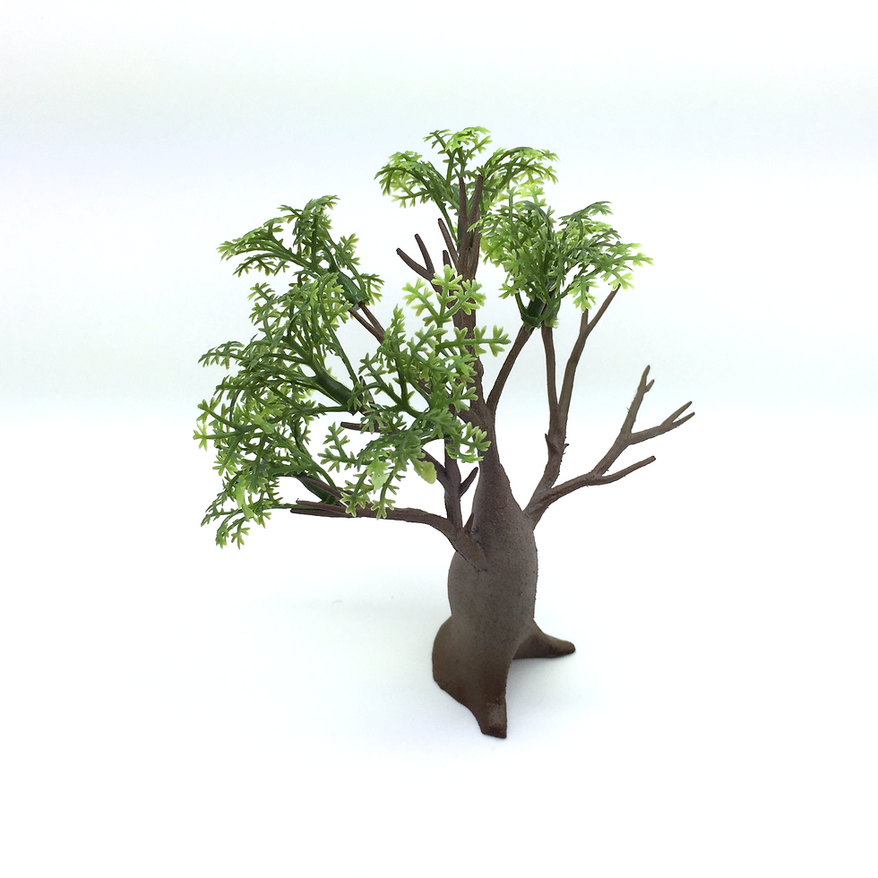 Thumbnail: AG41WNLA - Boab Lady Small  - Wet Season