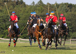 34947302932_f3ce8da3f6_o