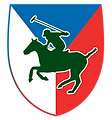 polo-pictogram.png