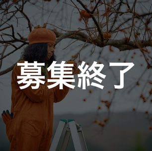 放置柿から“未来の物語”をつくれ！ローカルデザイナーインターン（畑がない農家）