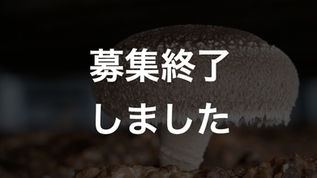 農業×Webマーケティング｜海外展開を目指す椎茸農家のマーケティング戦略をゼロから推進するプロジェクト