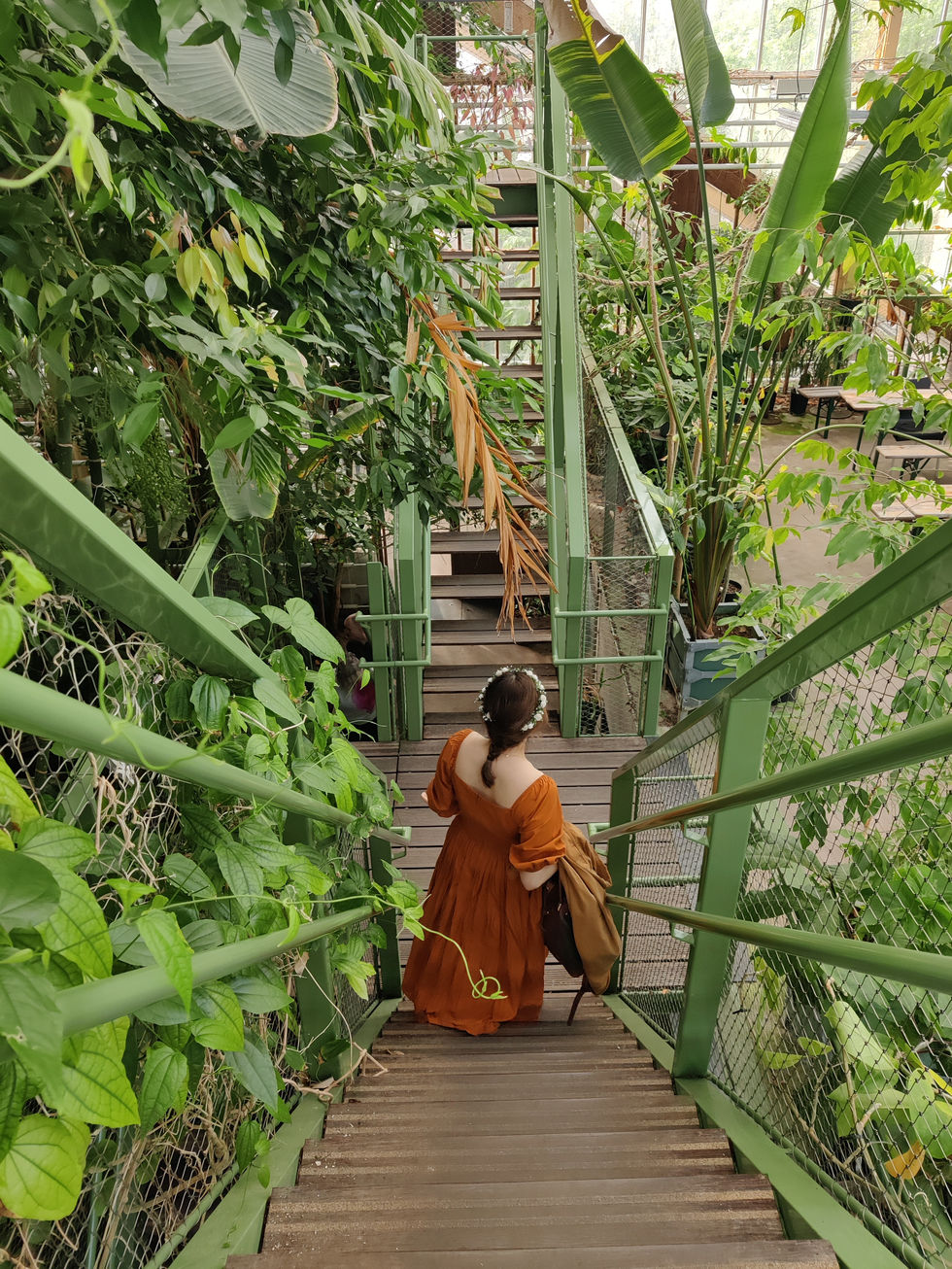 Hortus Botanicus, Leiden