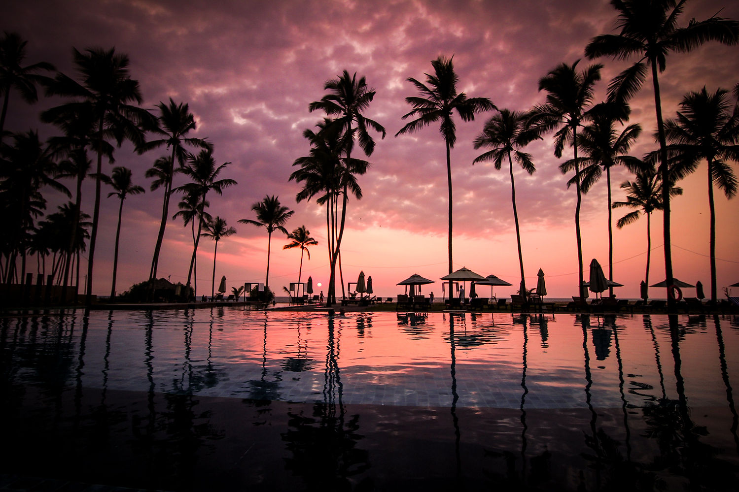 Beautiful Sunset behind a pool with palm trees in the foreground
