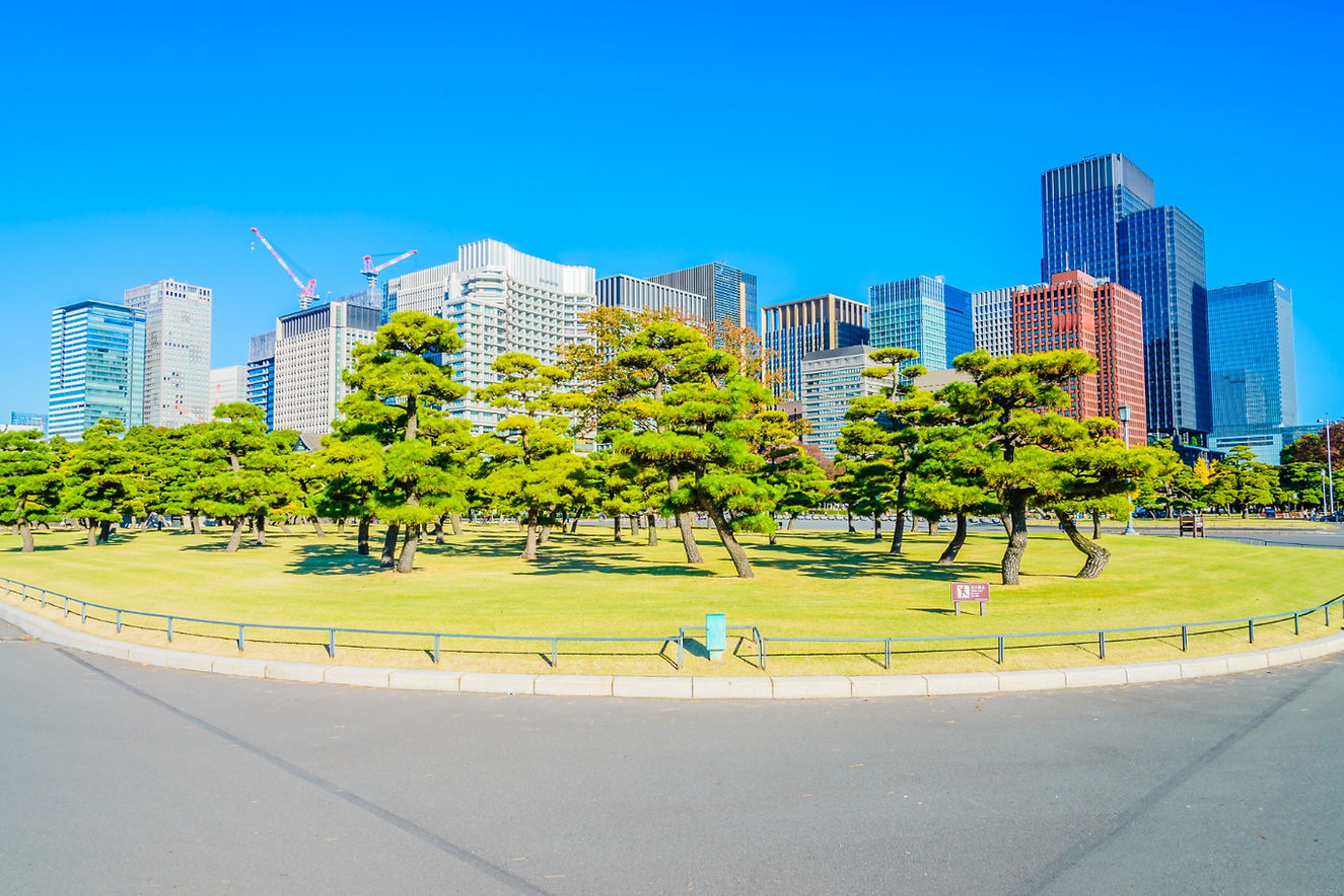 imperial-palace-tokyo-japan.jpg