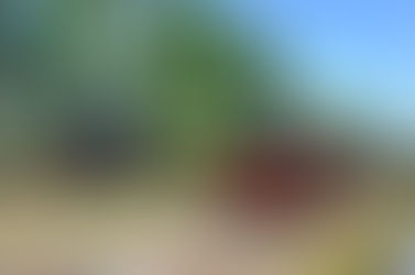 Reading and writing on the GWR