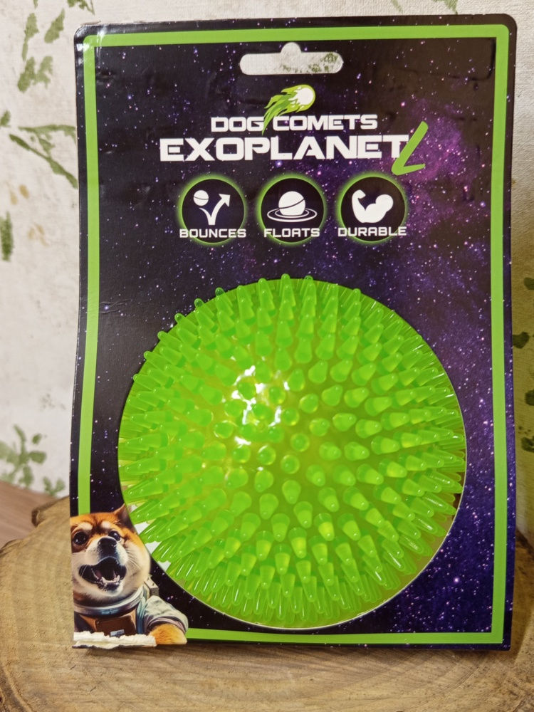 Balle à picots Dog Comets Exoplanet verte, taille L