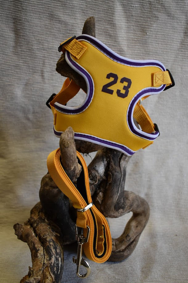 Harnais et laisse pour chien style basket violet numéro 23