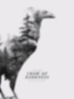 temporary book cover of the third book. A Superimposition of a forest within the body of a crow