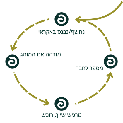 בתמונה אפשר לראות חץ אחד מוביל למעגל. המעגל גם הוא מחצים שמובילים בין ארבע תחנות: הלקוח נחשף", הלקוח מזדהה עם המותג", הלקוח מרגיש שייך ורוכש", "הלקוח מספר לחבר" וחוזר חלילה