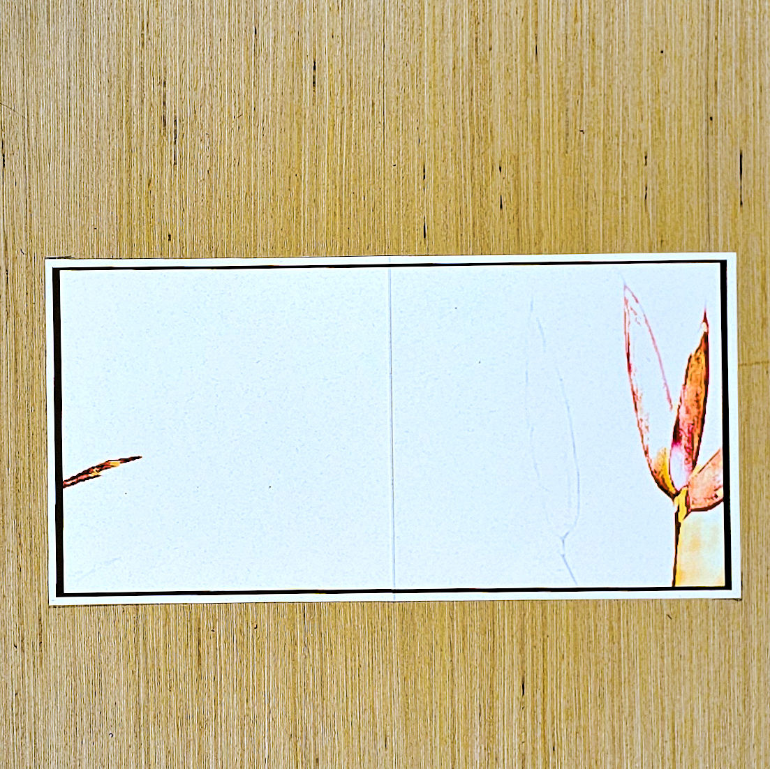 The Bamboo With The Sparrows
