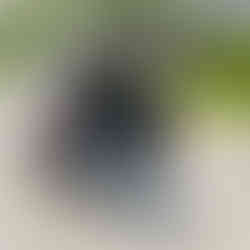 Mercedes-Benz Vito/eVito/V-class mobility conversion