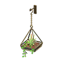 縮圖：Hanging Terrarium