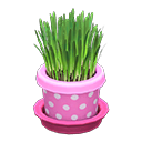 Miniatura: Cat Grass