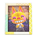 縮圖：Tabby's Photo