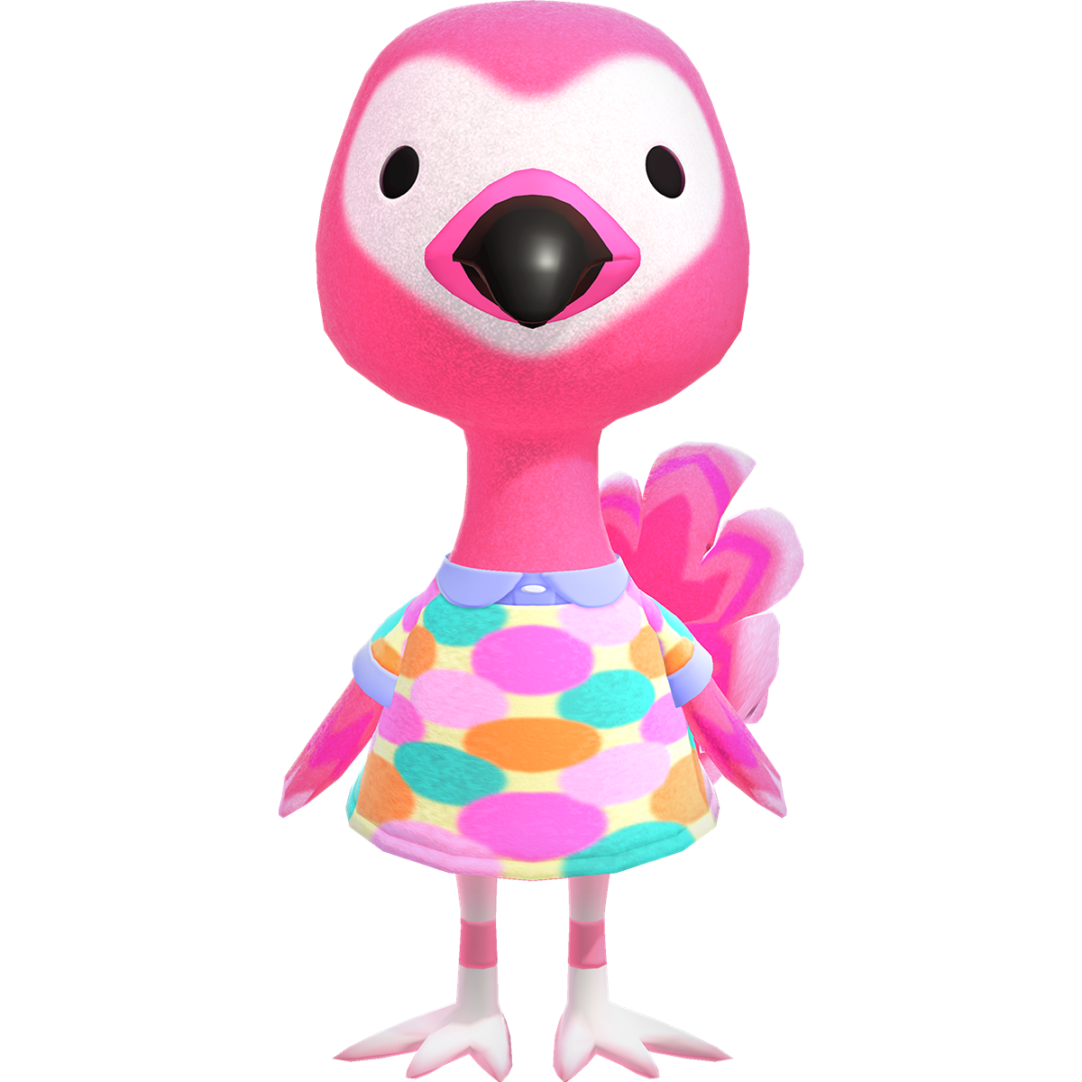 Flora
