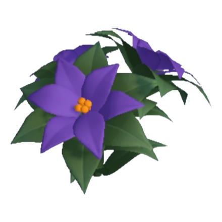 Thumbnail: Poinsettia
