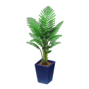 縮圖：Fan Palm