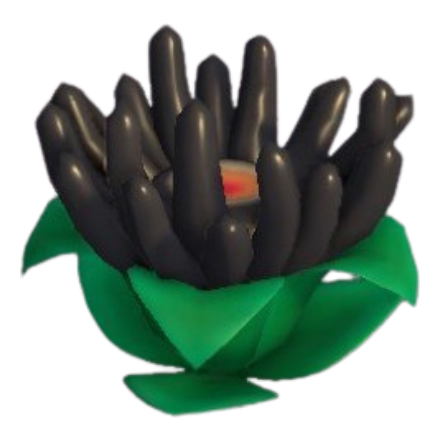 Anemone