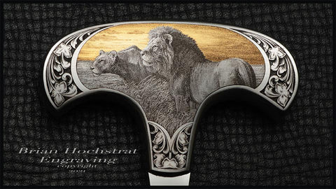 close up lions web.jpg