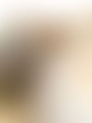 Backyard Wedding Photographer