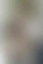 Newborn baby photoshoot by the tree