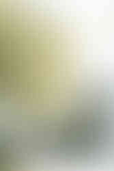 bride and groom grand entrance