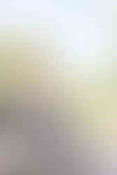 child on a log photo