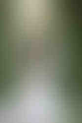 bride and groom portraits