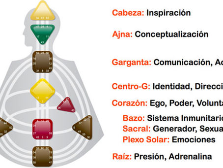Diseño Humano: Los Centros (3)