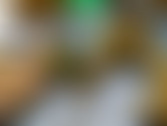 Patologías para principiantes