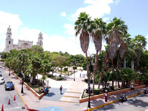 Ruta botánica por el centro de Mérida, Yucatán, México