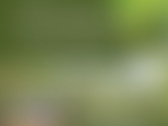 Invitation à la traditionnelle dégustation de vins